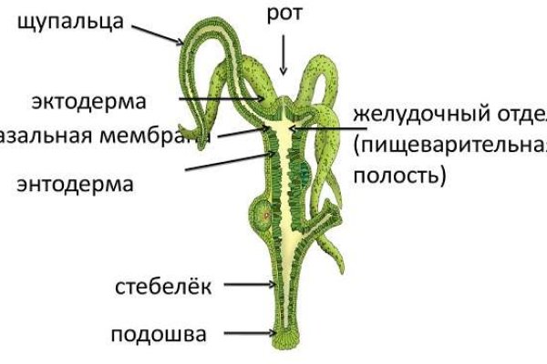 Войти в кракен