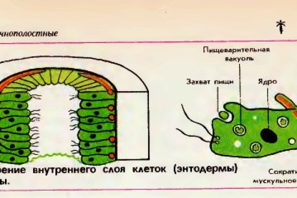 Кракен вход официальный сайт