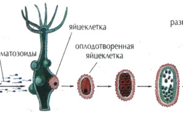 Кракен заблокировали