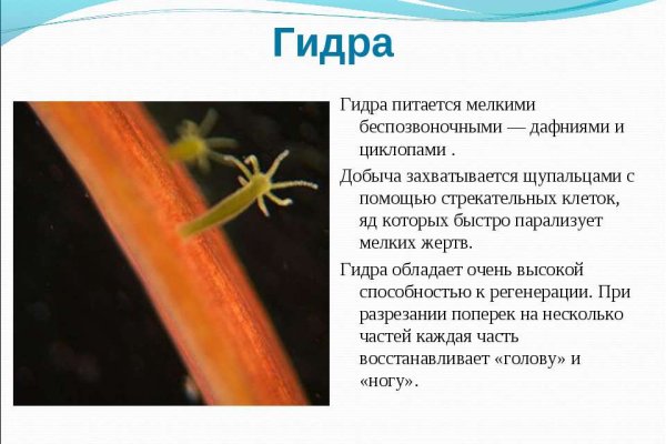 Не могу зайти на сайт кракен